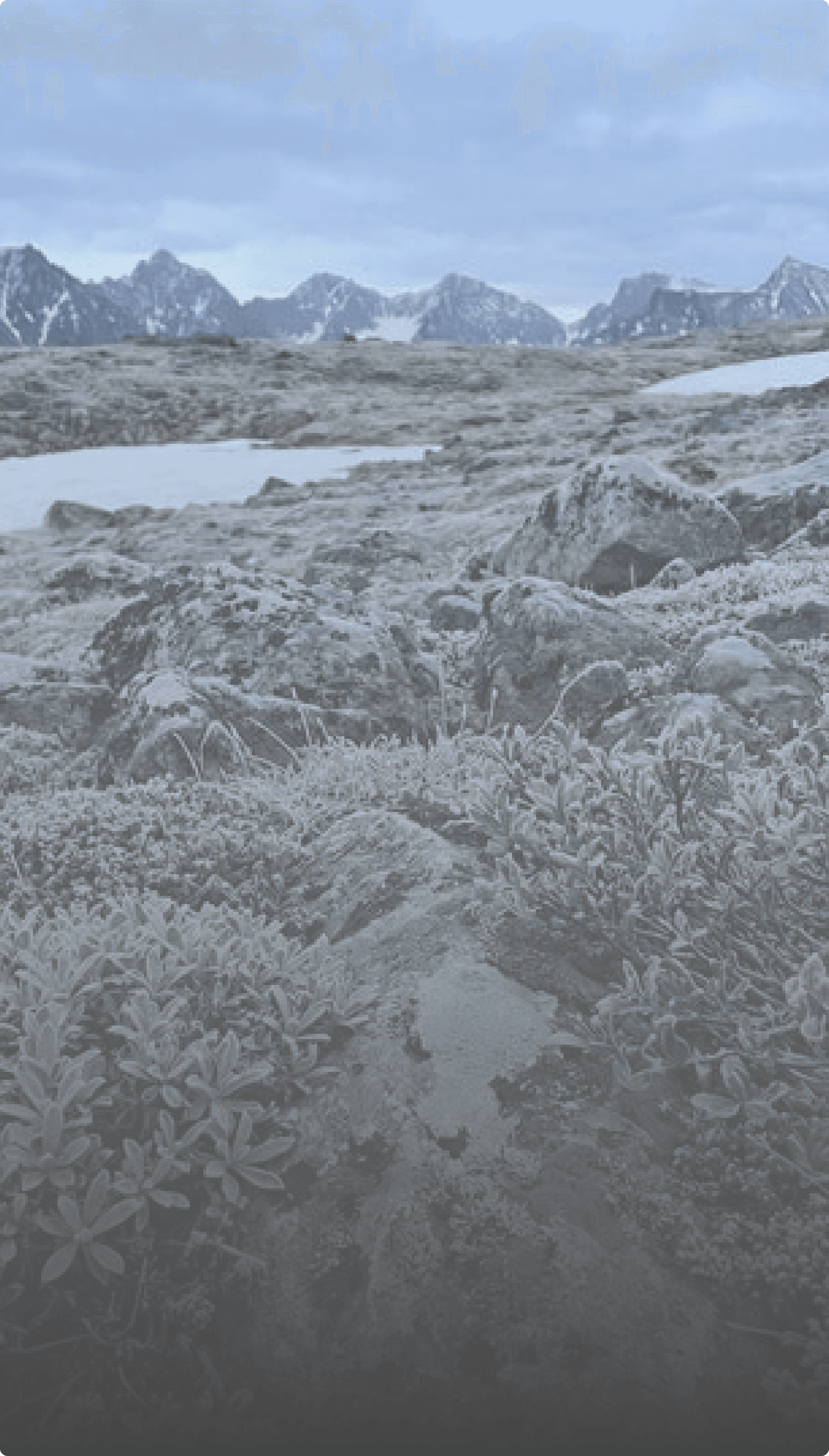 Alpine ecosystem