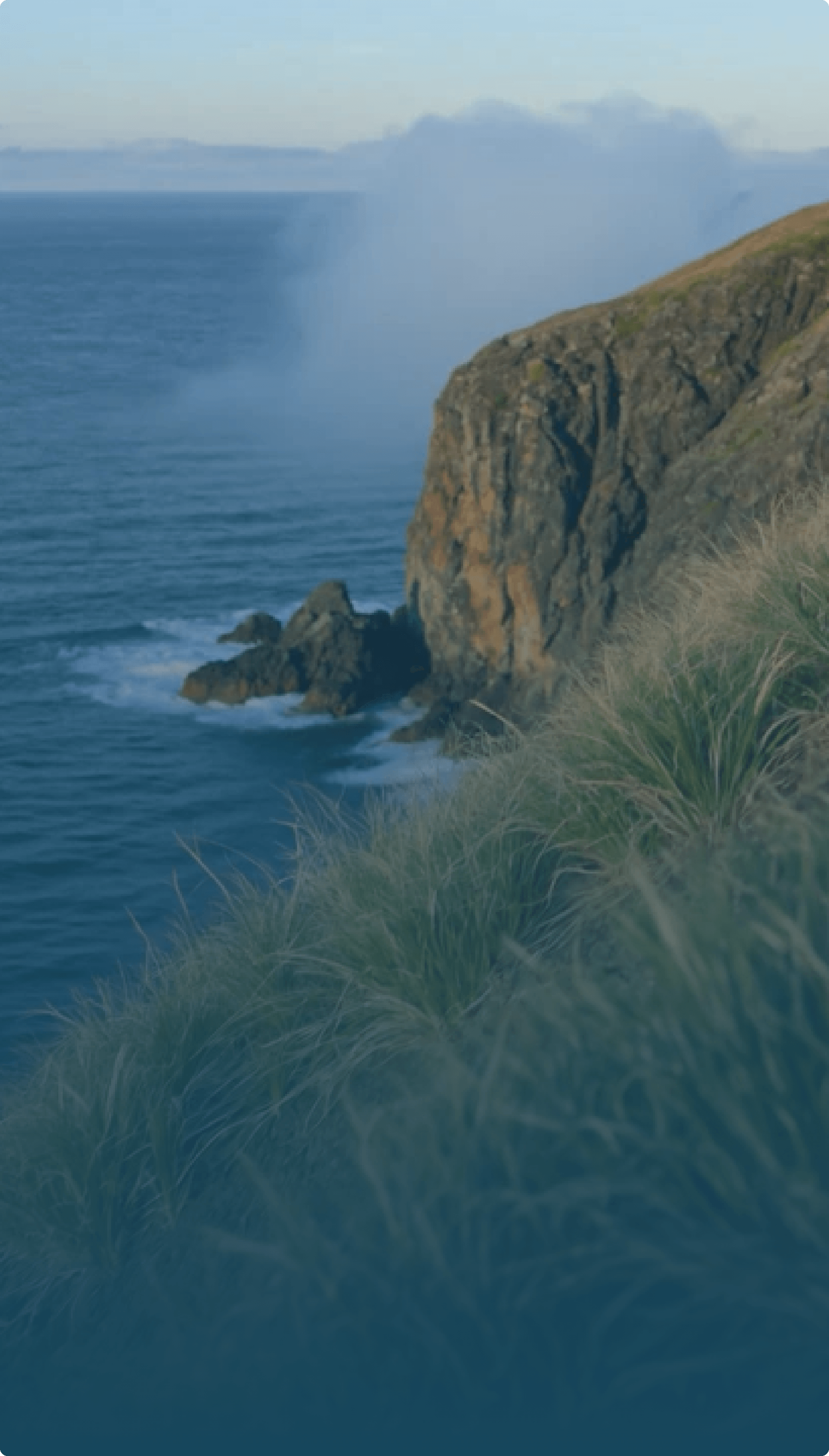 Cornish — Ecosystem
