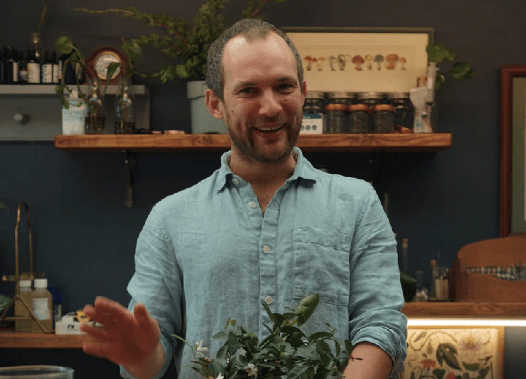 Hugo explaining a botanical in the apothecary
